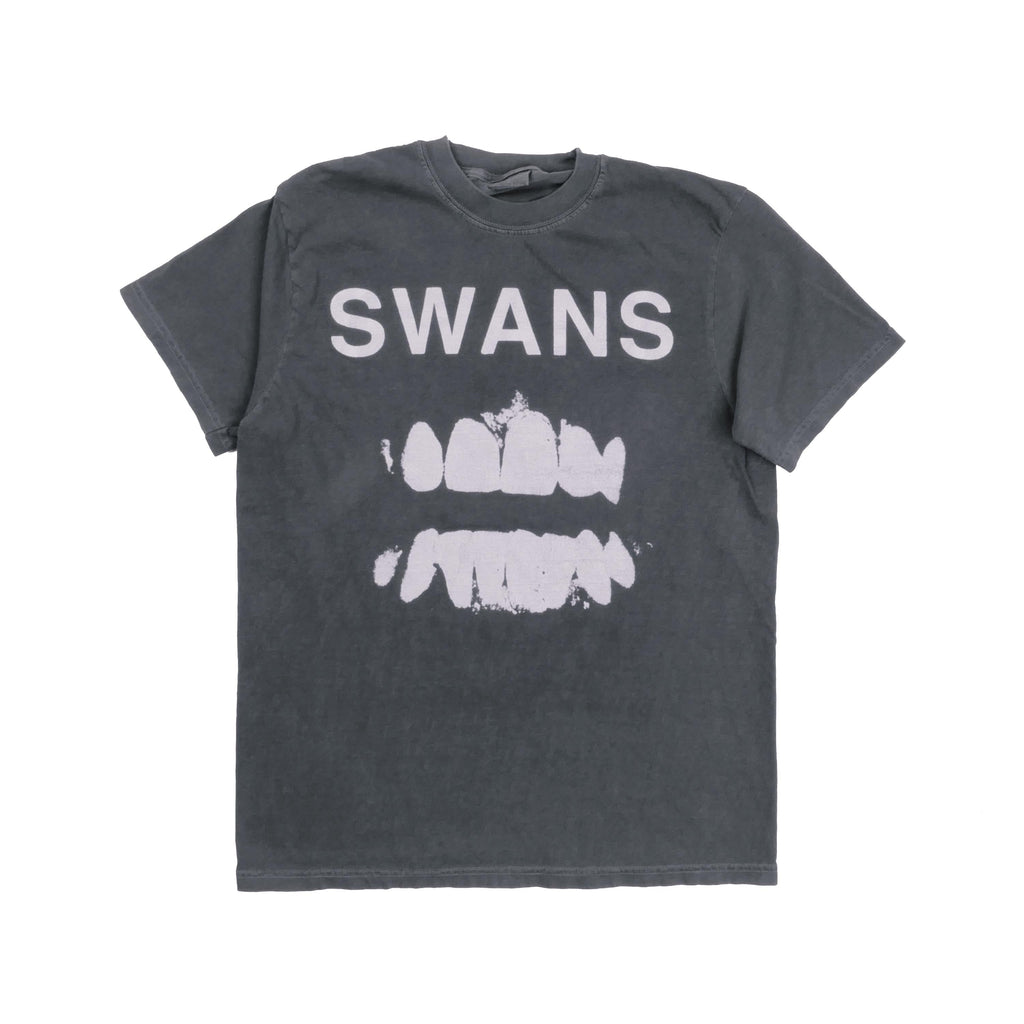 Swans Band Tee Experimental American Rock Group York Michael Gira Heavy Metal Punk Rock Alternative Heavyweight Faded Med (1)