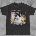 Cat Meme Y2k Retro Unisex T-shirt, Sweatshirt, Hoodie (1)