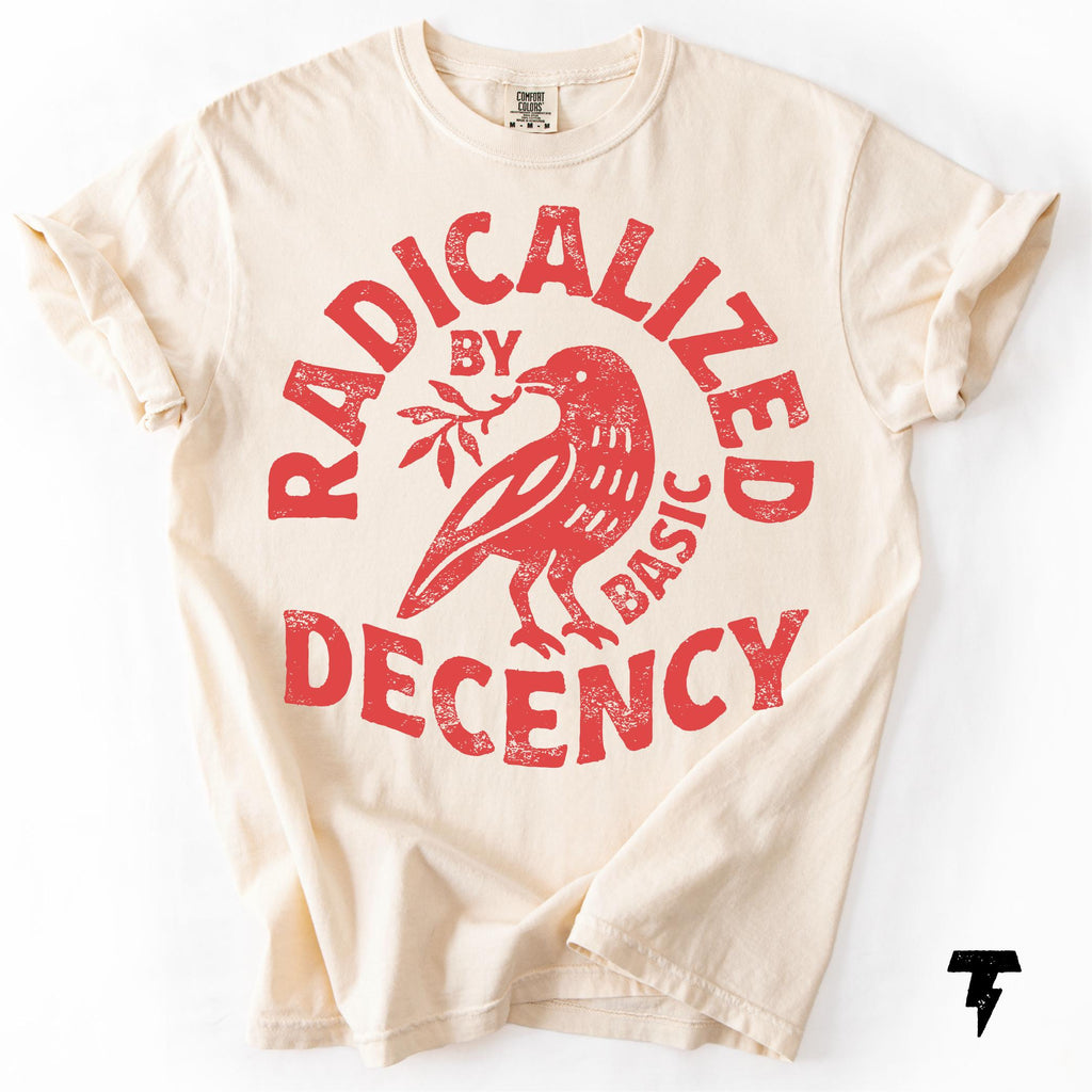 Radicalized Basic Decency Comfort Colors Activist Tee Unisex T-shirt, Sweatshirt, Hoodie (1)