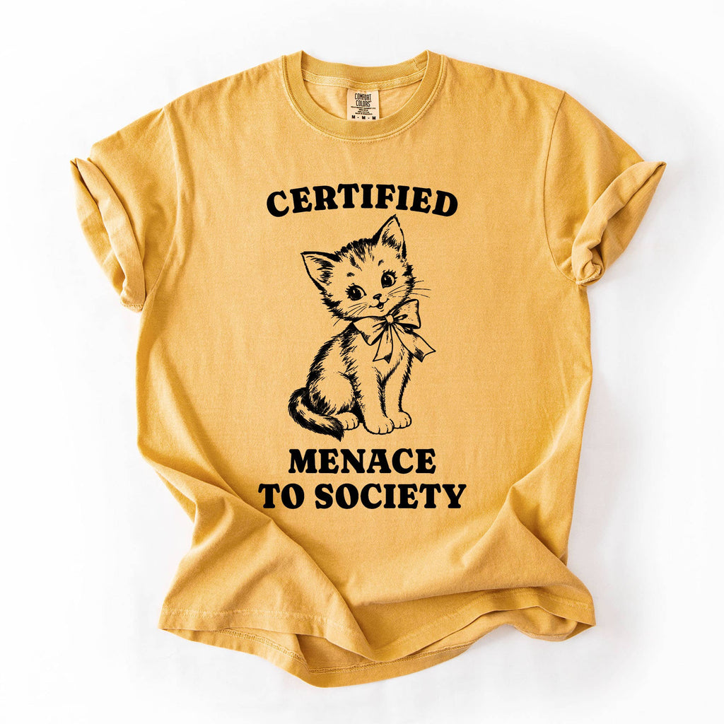Funny Cat Shirt, Menace To Society Graphic Tee