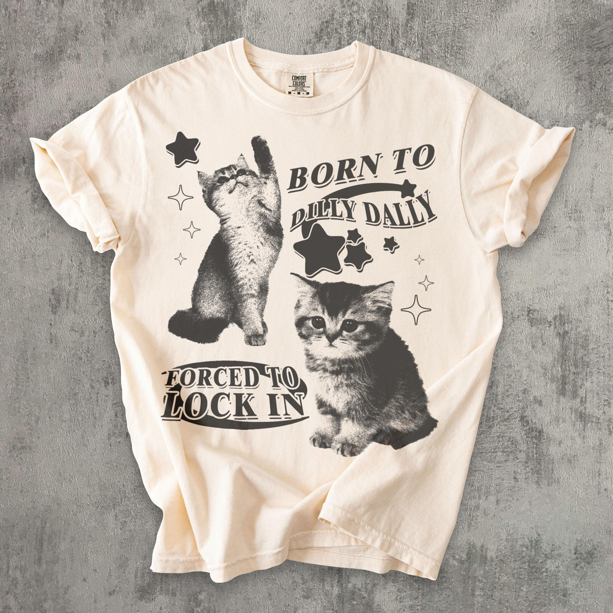Born Dilly Dally Forced Lock Y2k Kitten Cat Meme Silly Cats Tee Comfort Colors Ironic Tees Cat Lover (2)