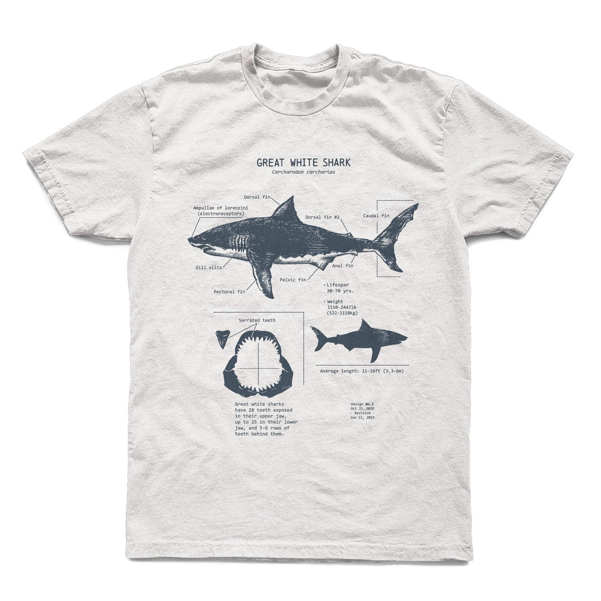 White Shark Anatomy Hand-Drawn Biology Diagram Screen Printed Ringspun (2)
