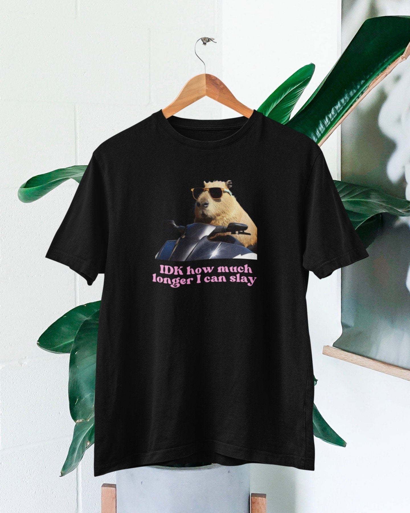 Capybara Slay Tiktok Fan Unisex T-shirt, Sweatshirt, Hoodie (2)