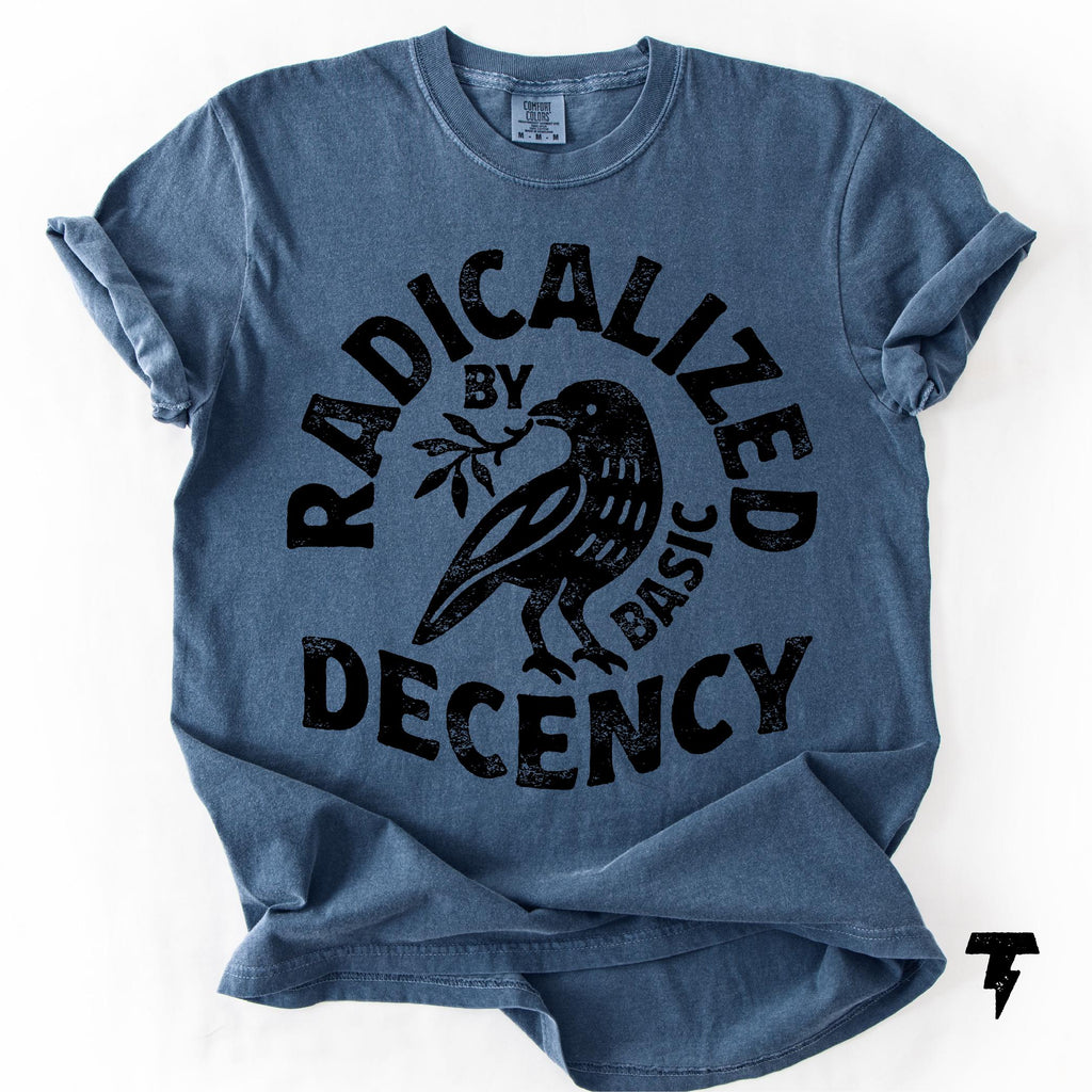 Radicalized Basic Decency Comfort Colors Activist Tee Unisex T-shirt, Sweatshirt, Hoodie (3)