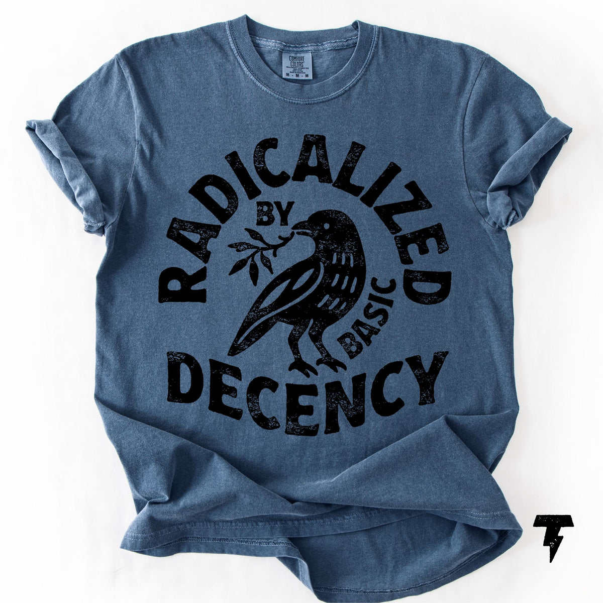 Radicalized Basic Decency Comfort Colors Activist Tee Unisex T-shirt, Sweatshirt, Hoodie (3)