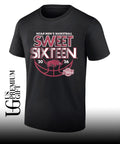 2026 Sweet Sixteen Arkansas Razorbacks men’s basketball NCAA March Madness shirt