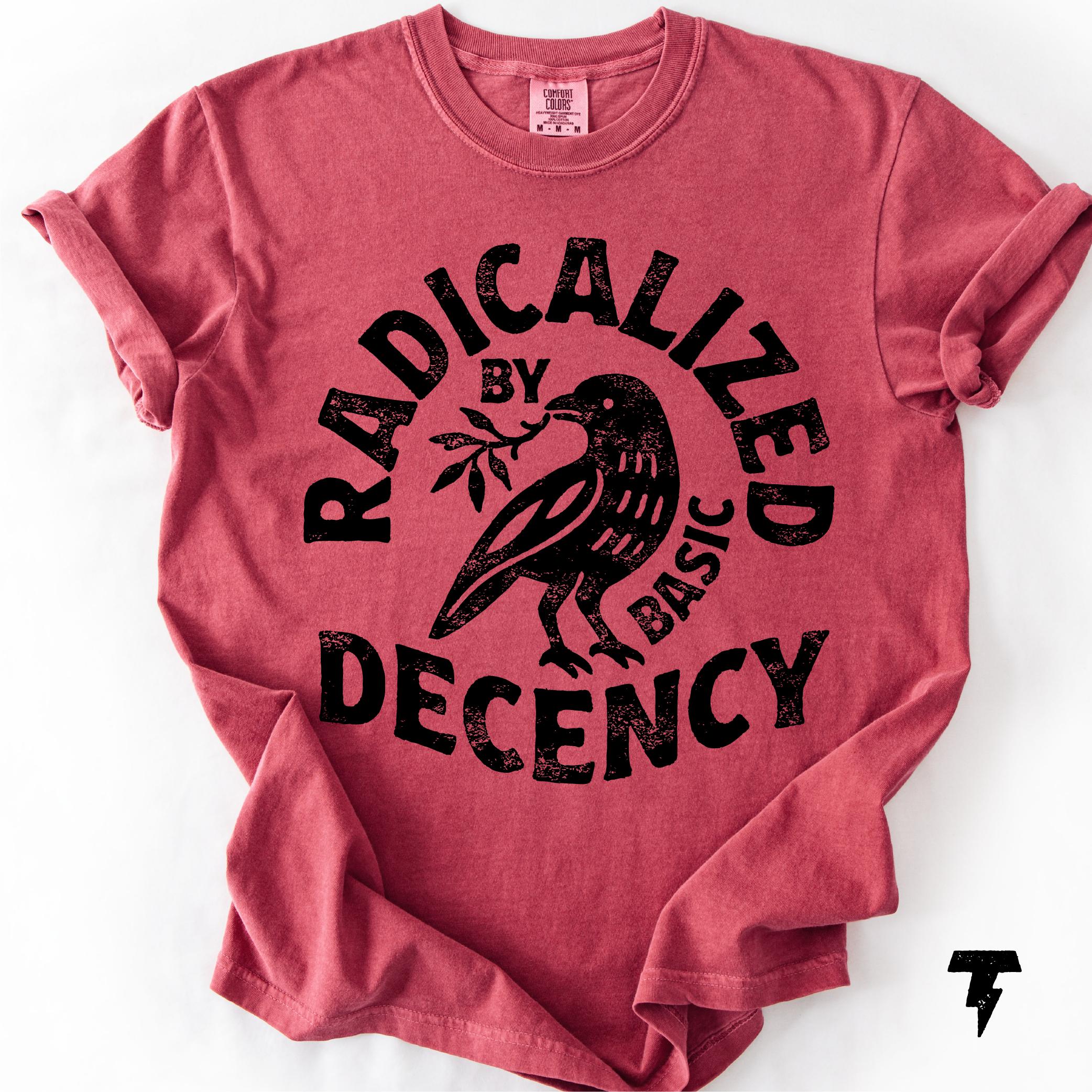 Radicalized Basic Decency Comfort Colors Activist Tee Unisex T-shirt, Sweatshirt, Hoodie (4)