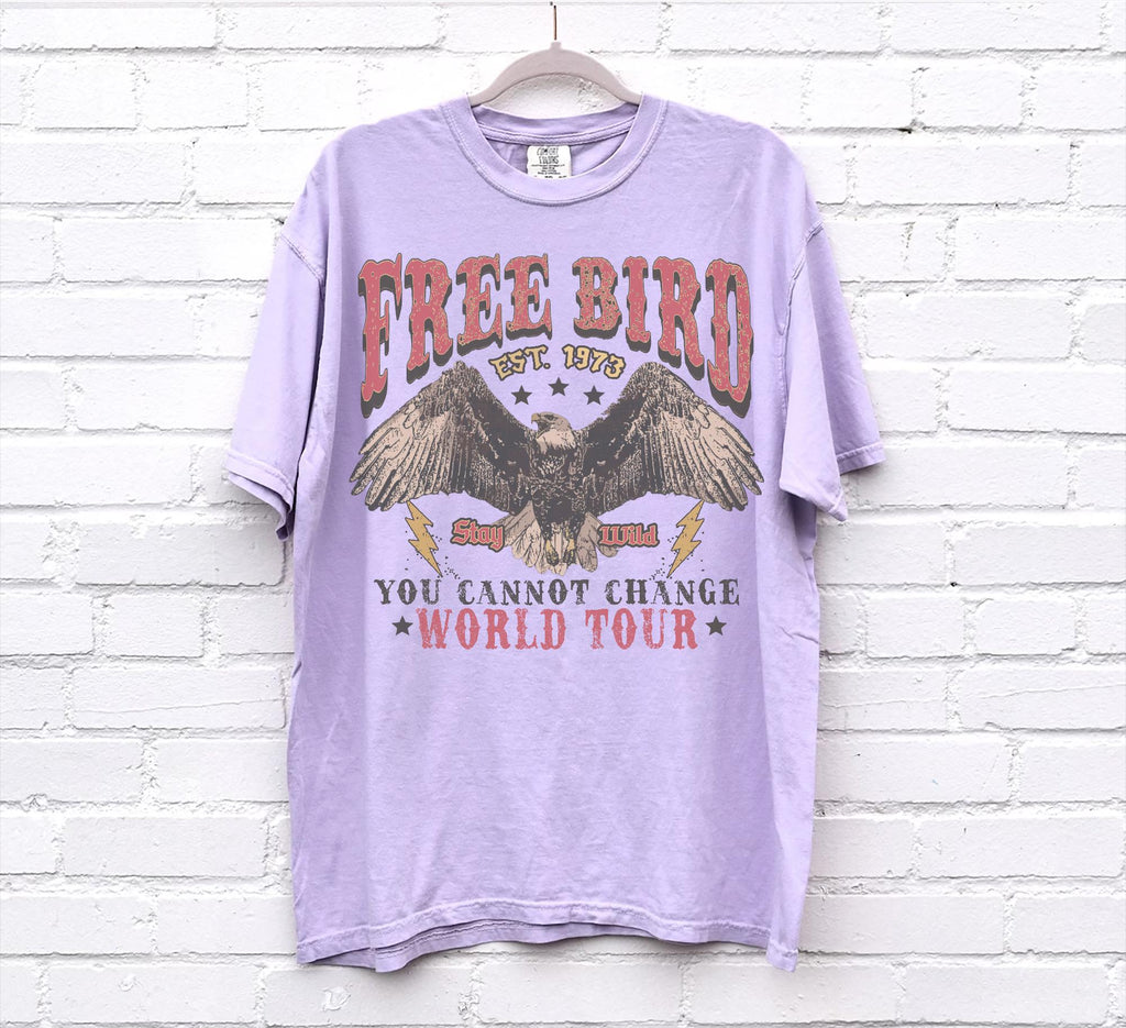 70s Rock Free Bird Comfort Colors Band Old School Band Retro Music Rock Band Tee (5)