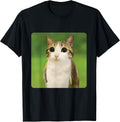 Funny Cat Owl Meme Brainrot Cursed Gen Z Tees