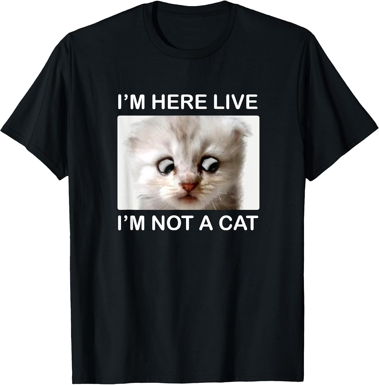 I'm Here Live I'm Not A Cat Lawyer Hilarious Meme