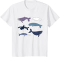 Biggest Little Stories Kids Shirts