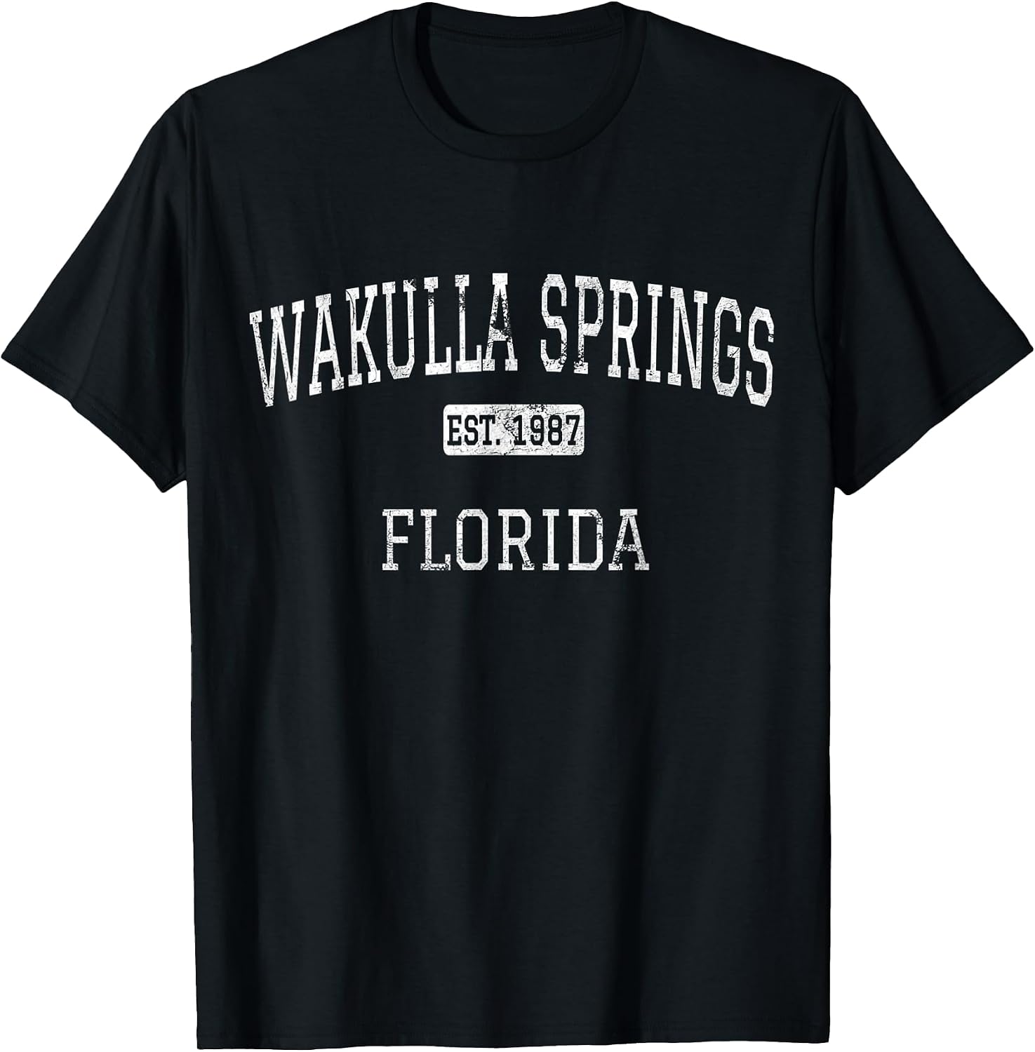 Wakulla Springs Florida Vintage