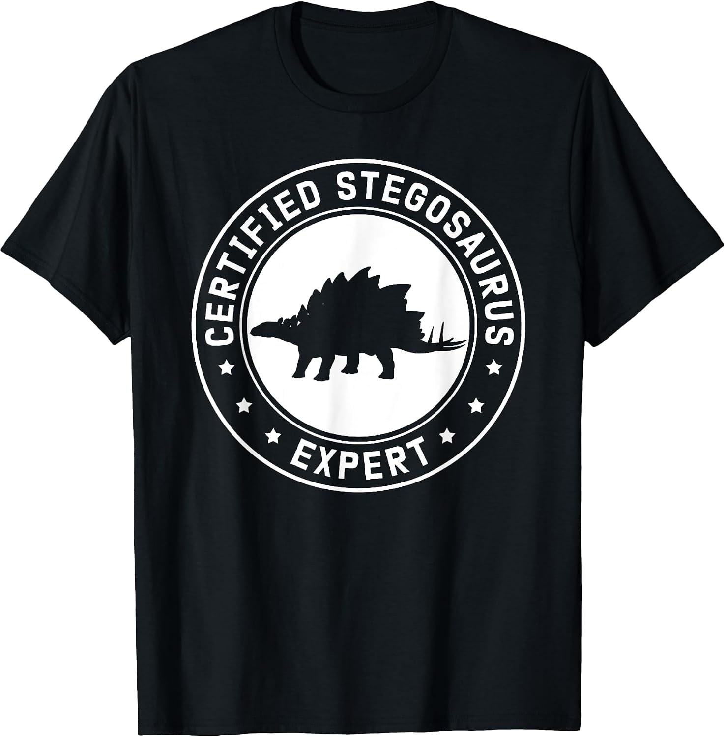 Stegosauri Dinosaurs Lover Gifts Merch