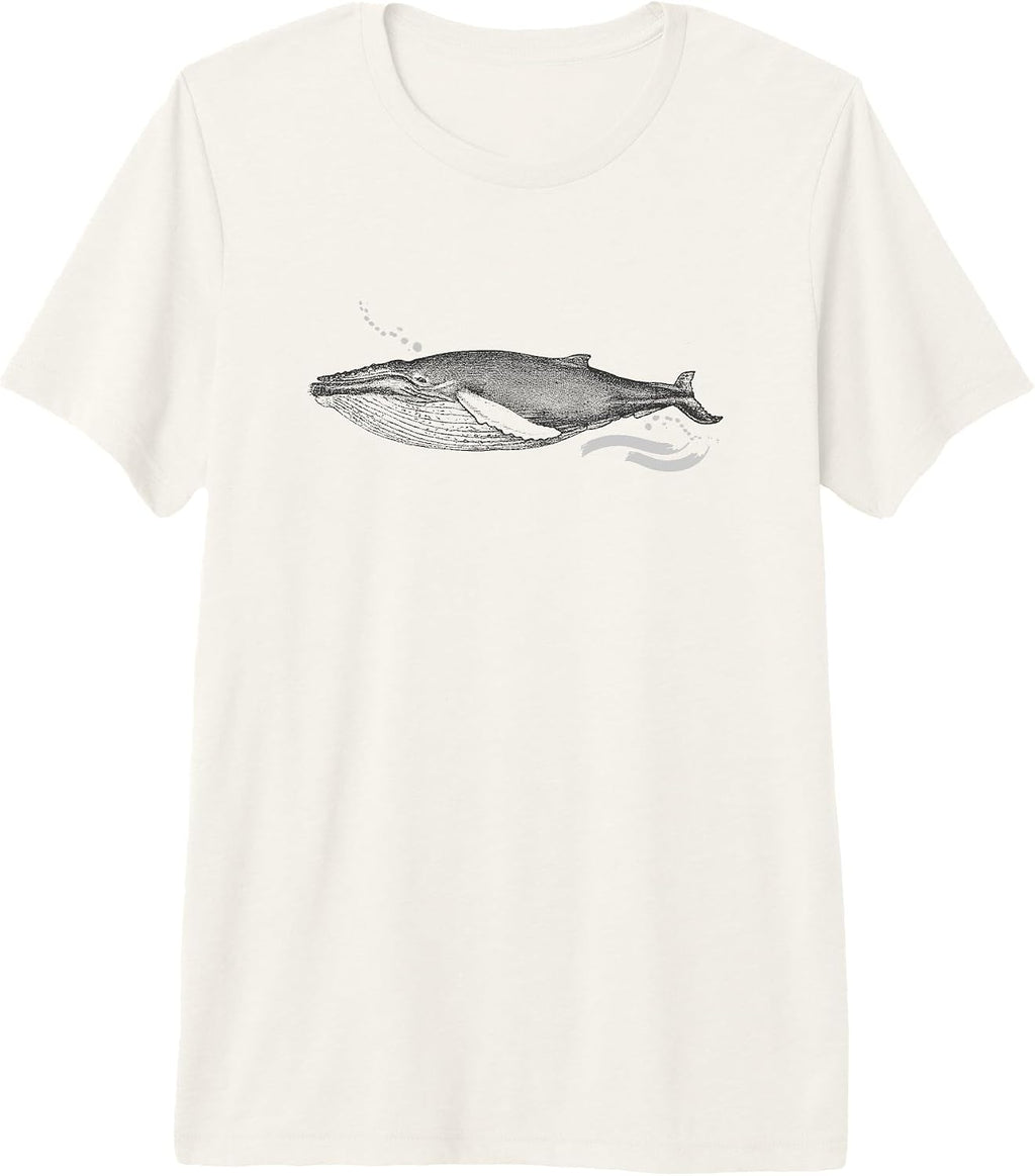 Save The Whales Sea Wildlife