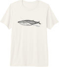 Save The Whales Sea Wildlife