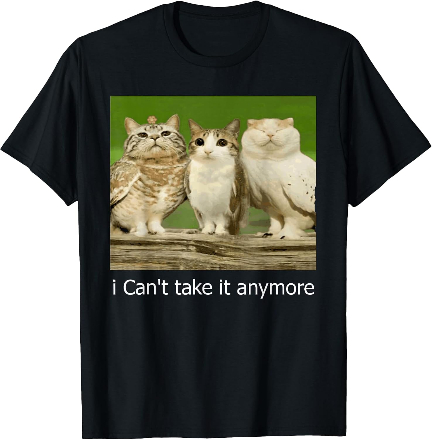 Cat Meme Funny Meowl