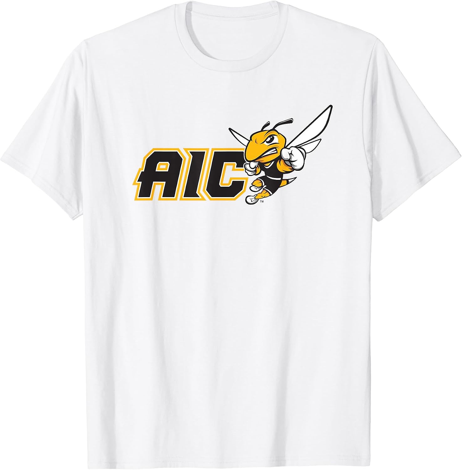 American International College AIC by Steve State