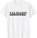 Tax Season Accountant by Qfire