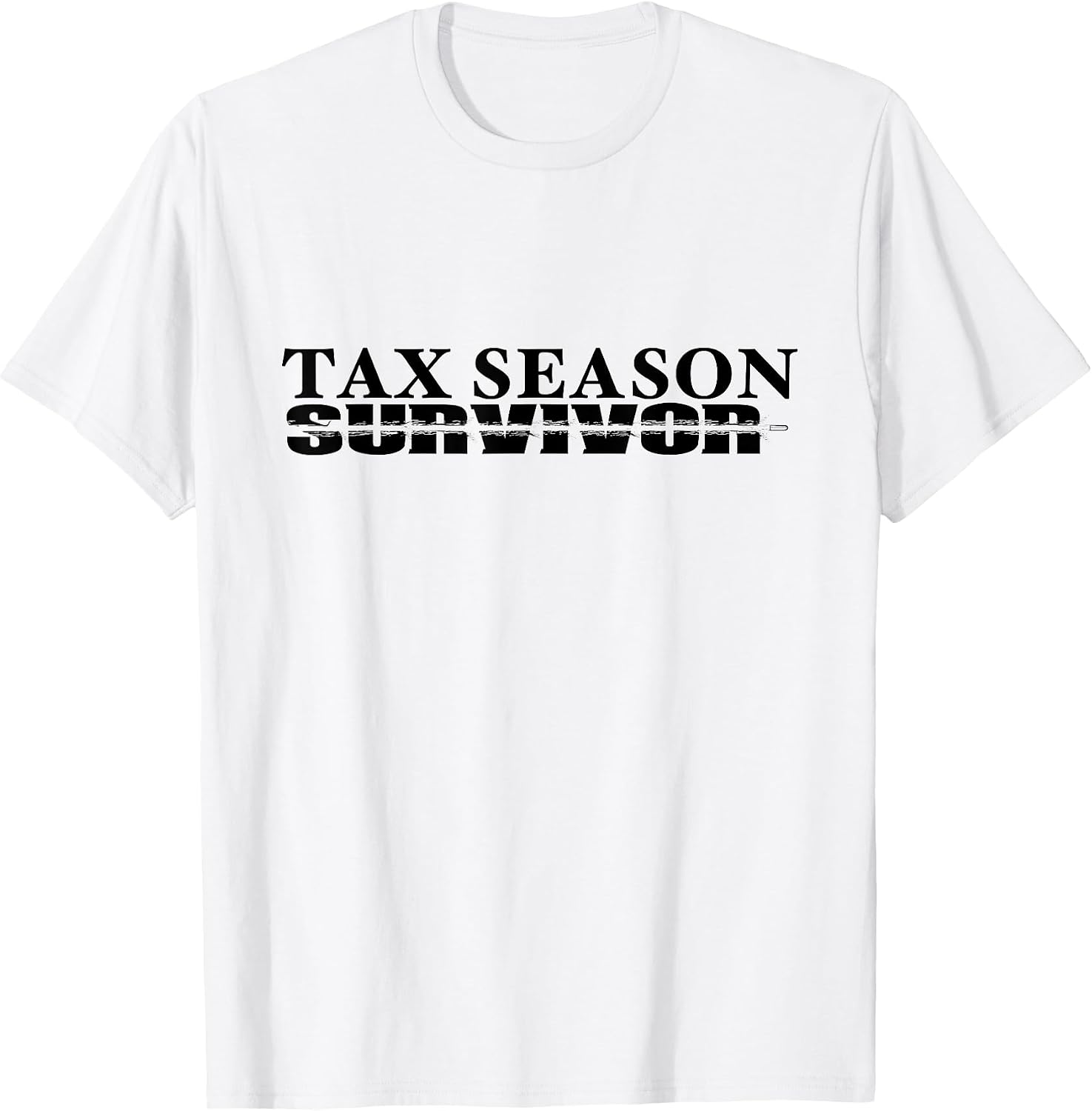 Tax Season Accountant by Qfire