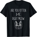 Cat Funny T-shirts