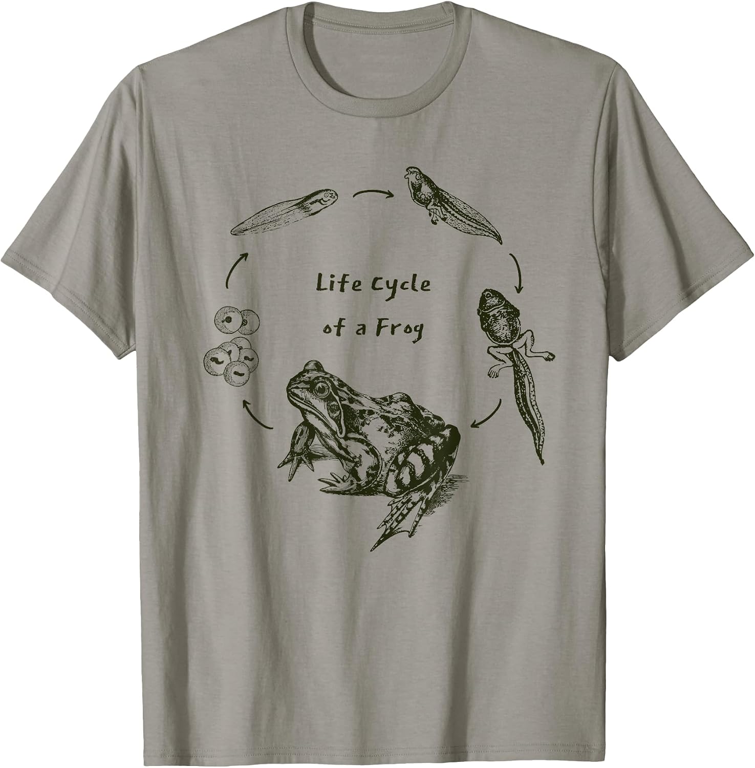 Life Cycle of a Frog Science Merch