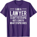 I Am A Lawyer I Can't Fix Stupid Apparel