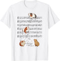 Funny Pianist Guinea Pigs Musician Instrument