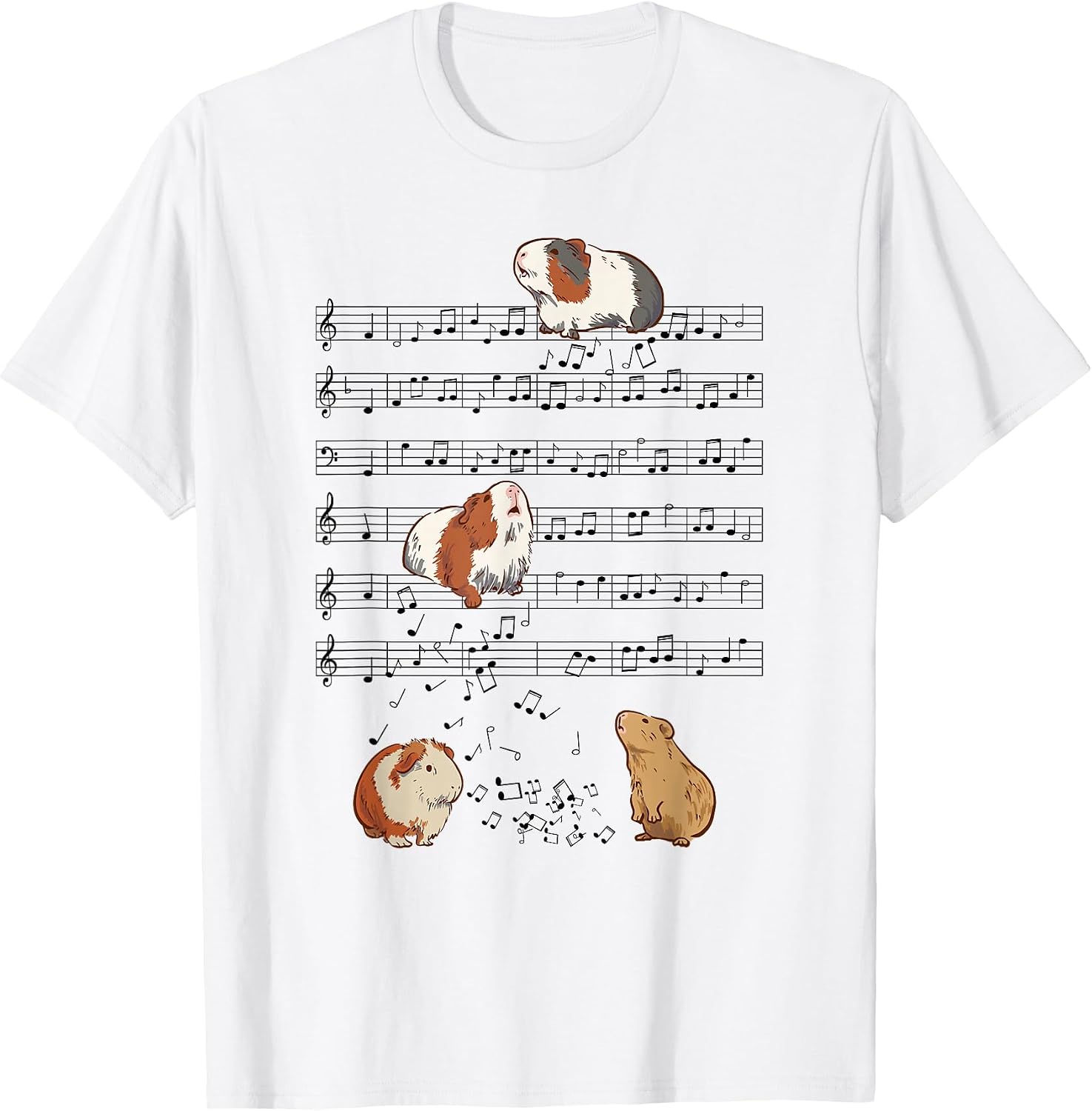 Funny Pianist Guinea Pigs Musician Instrument
