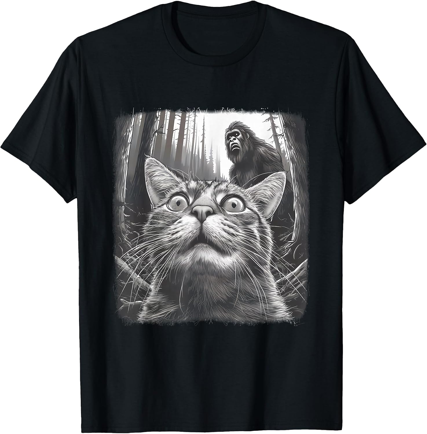 Silly Cat Company
