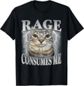 Funny Meme Cat Rage Is Consuming Me Silly Staring