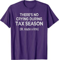 Accountant Shirts Only