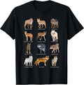 Wolf motifs for wolf fans
