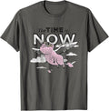 The Time Is Now Flying Pig
