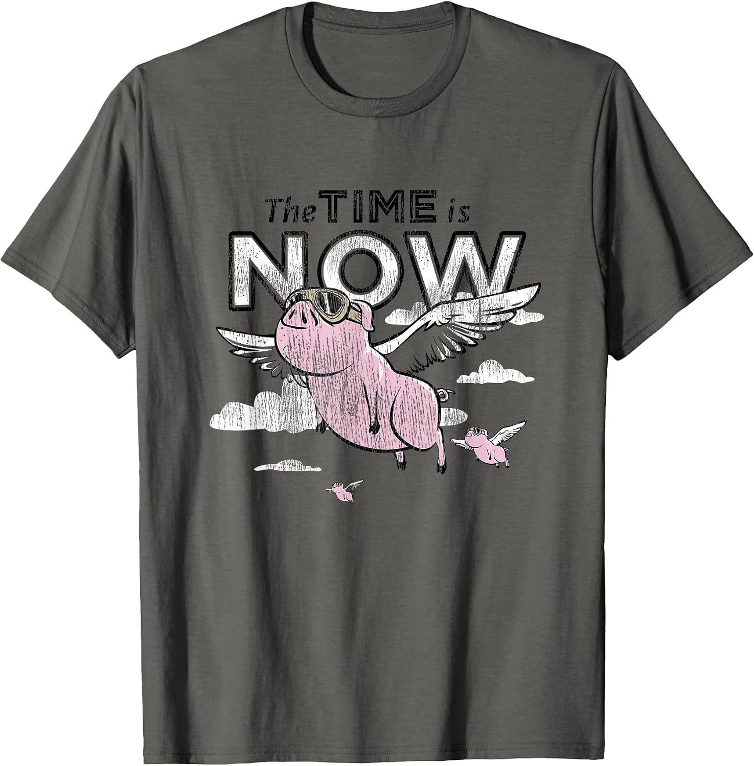 The Time Is Now Flying Pig