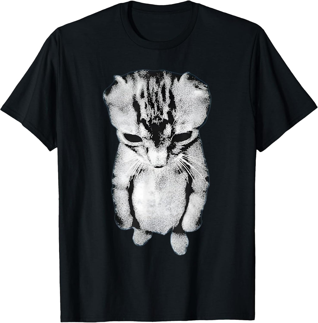 Funny Sad Crying Cat Meme