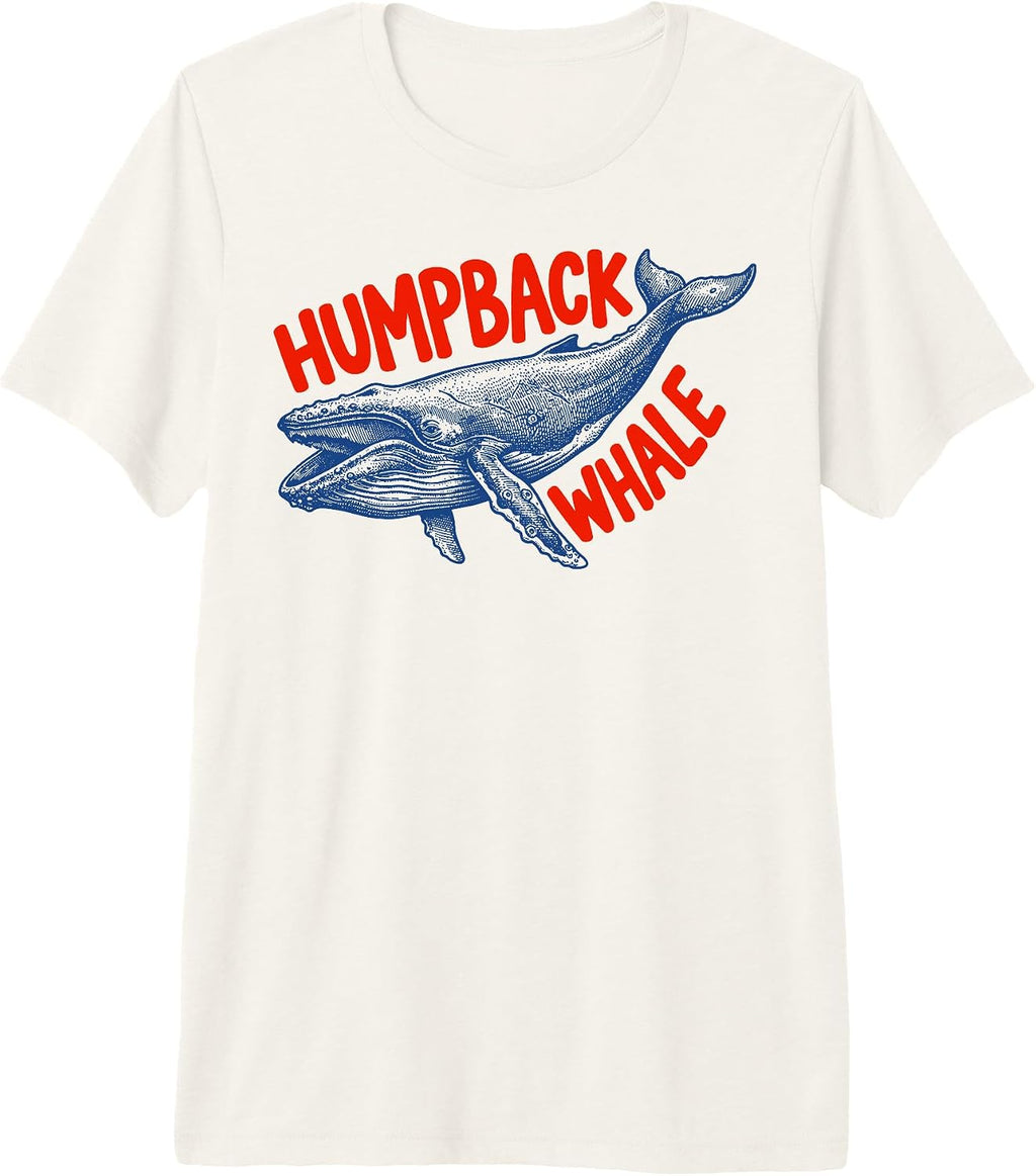 Wildlife Animal Whale Nature Marine Biologist