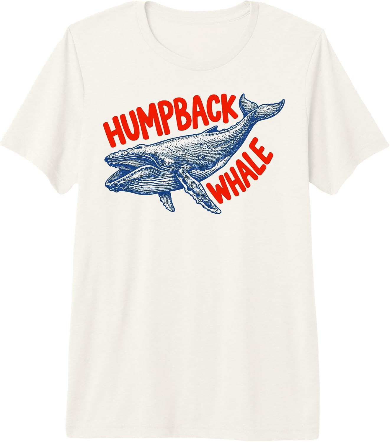 Wildlife Animal Whale Nature Marine Biologist