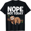Lazy Napping Sloth Cute Introvert