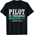 Pilots Flying Aeroplane Aircraft