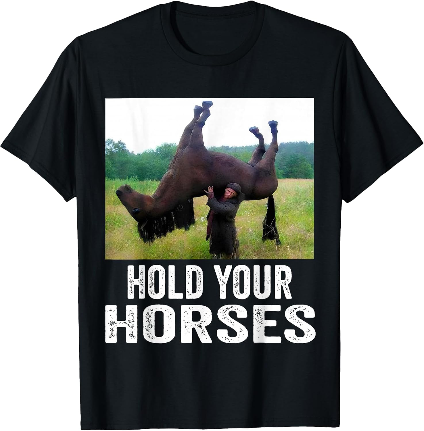 Fun Horse Lover Humor | Funny Horse Definition