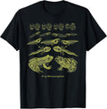 Life Cycle of a Frog Merch