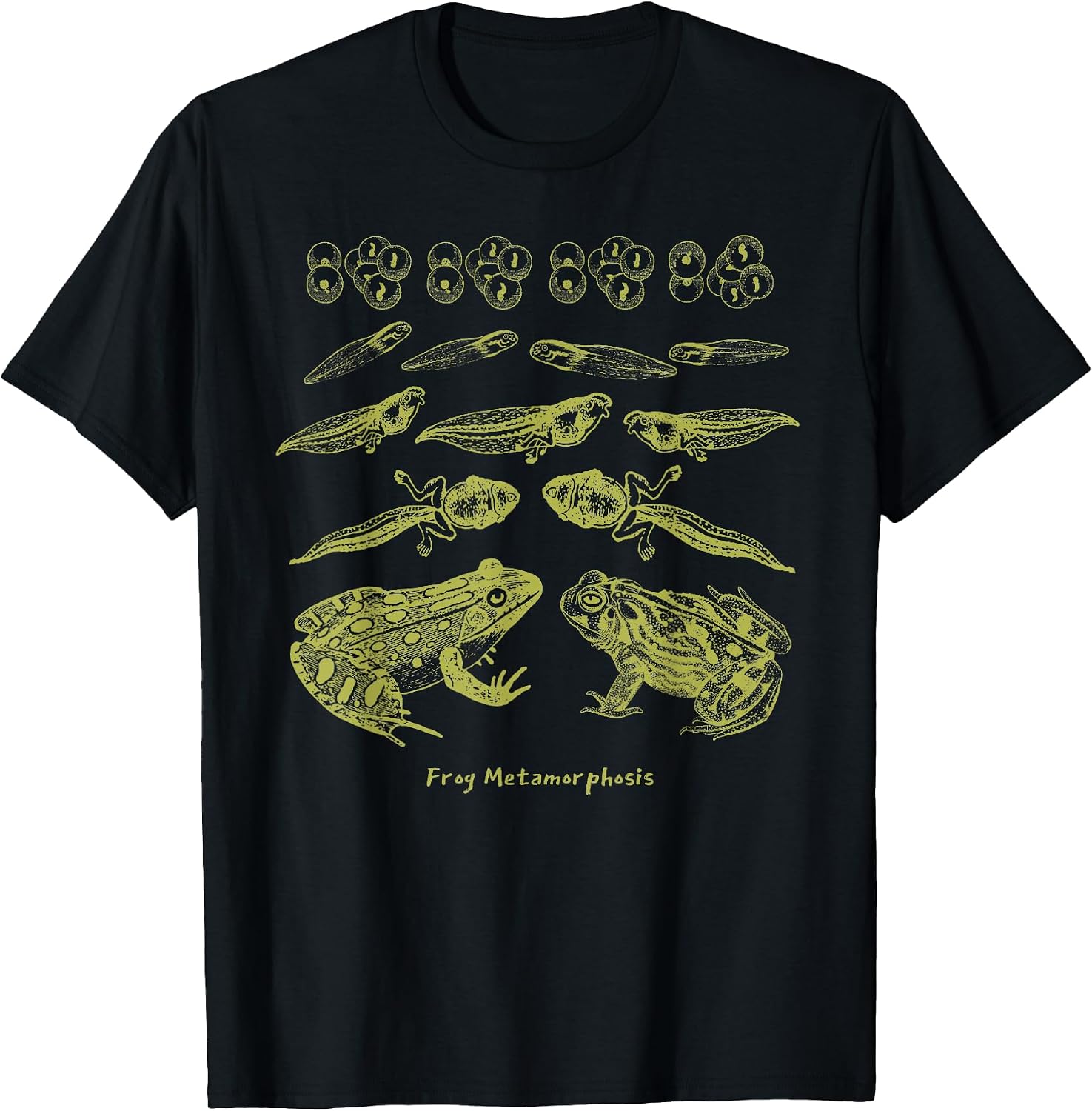 Life Cycle of a Frog Merch