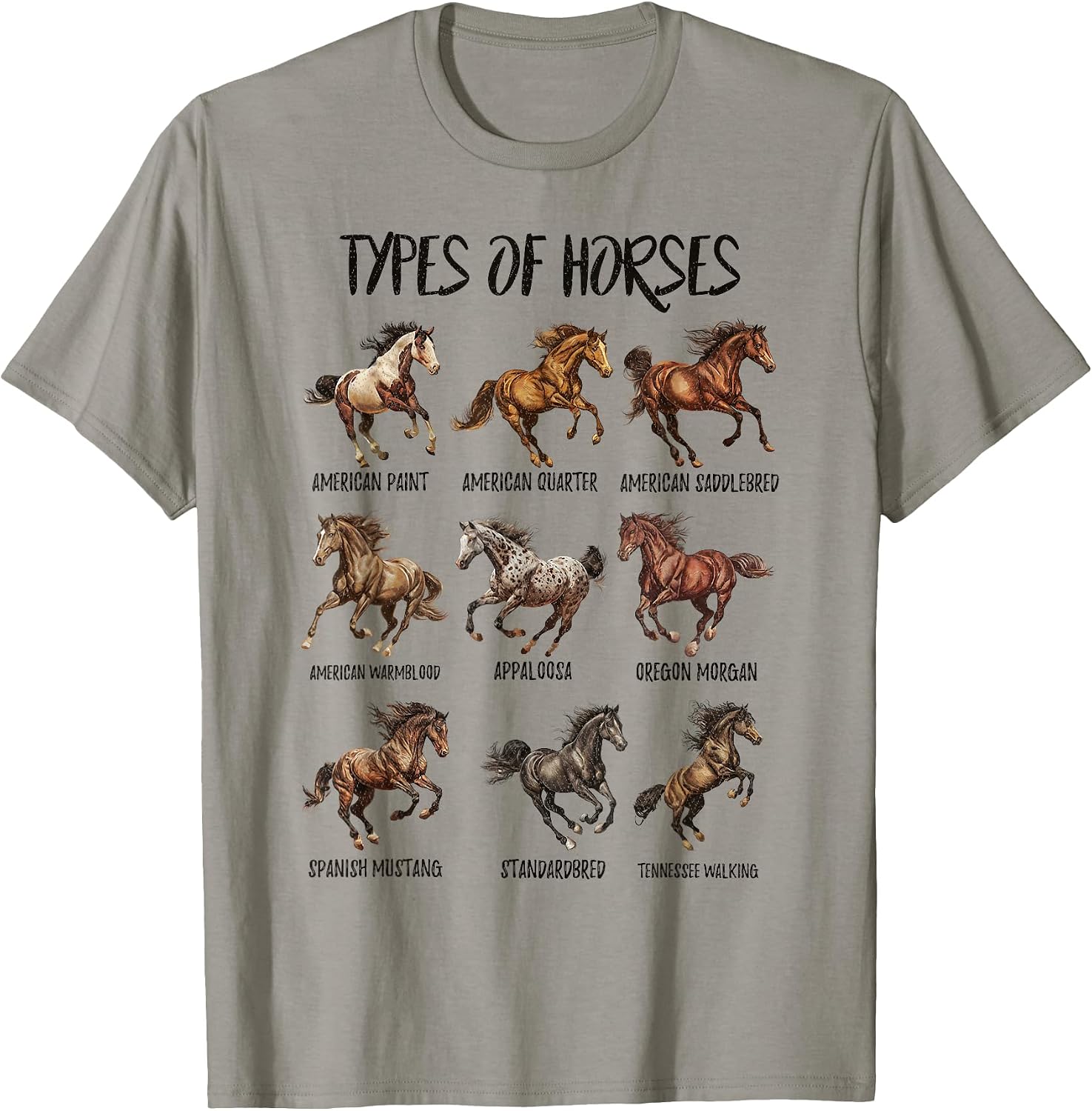 Types Of Horses, Horse Breeds, Horseback Riding