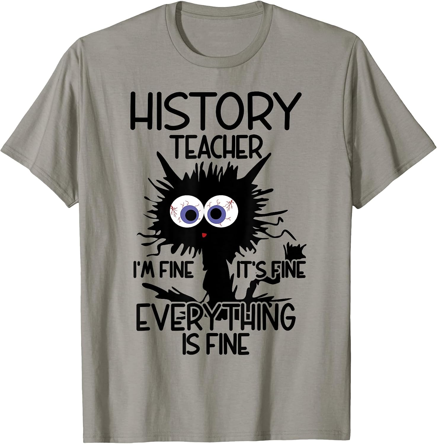 History Teacher It's Fine Cat