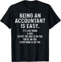 Funny Accountant Graphic & More