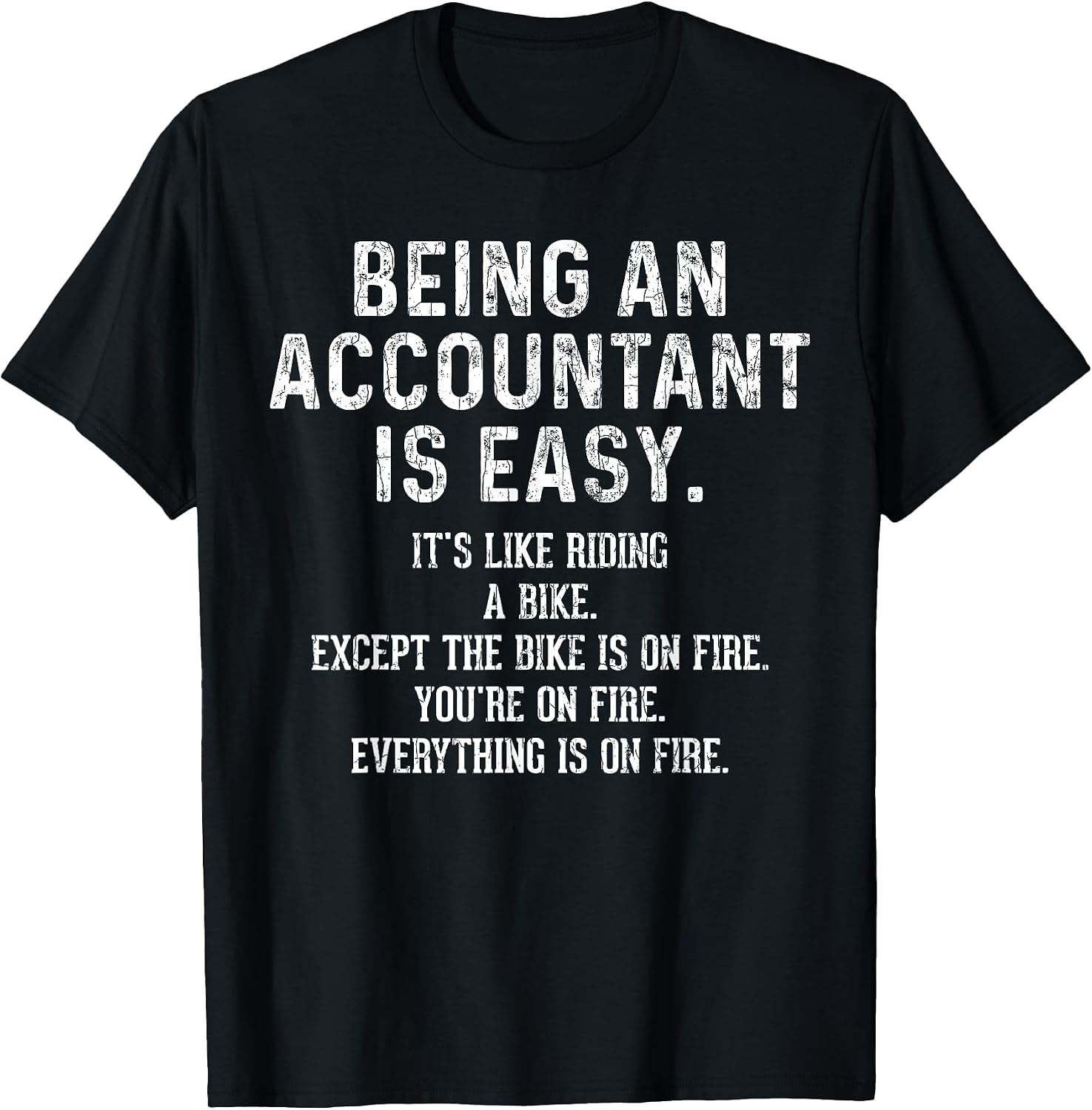 Funny Accountant Graphic & More