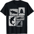 Shark Asymmetrical Collage Design