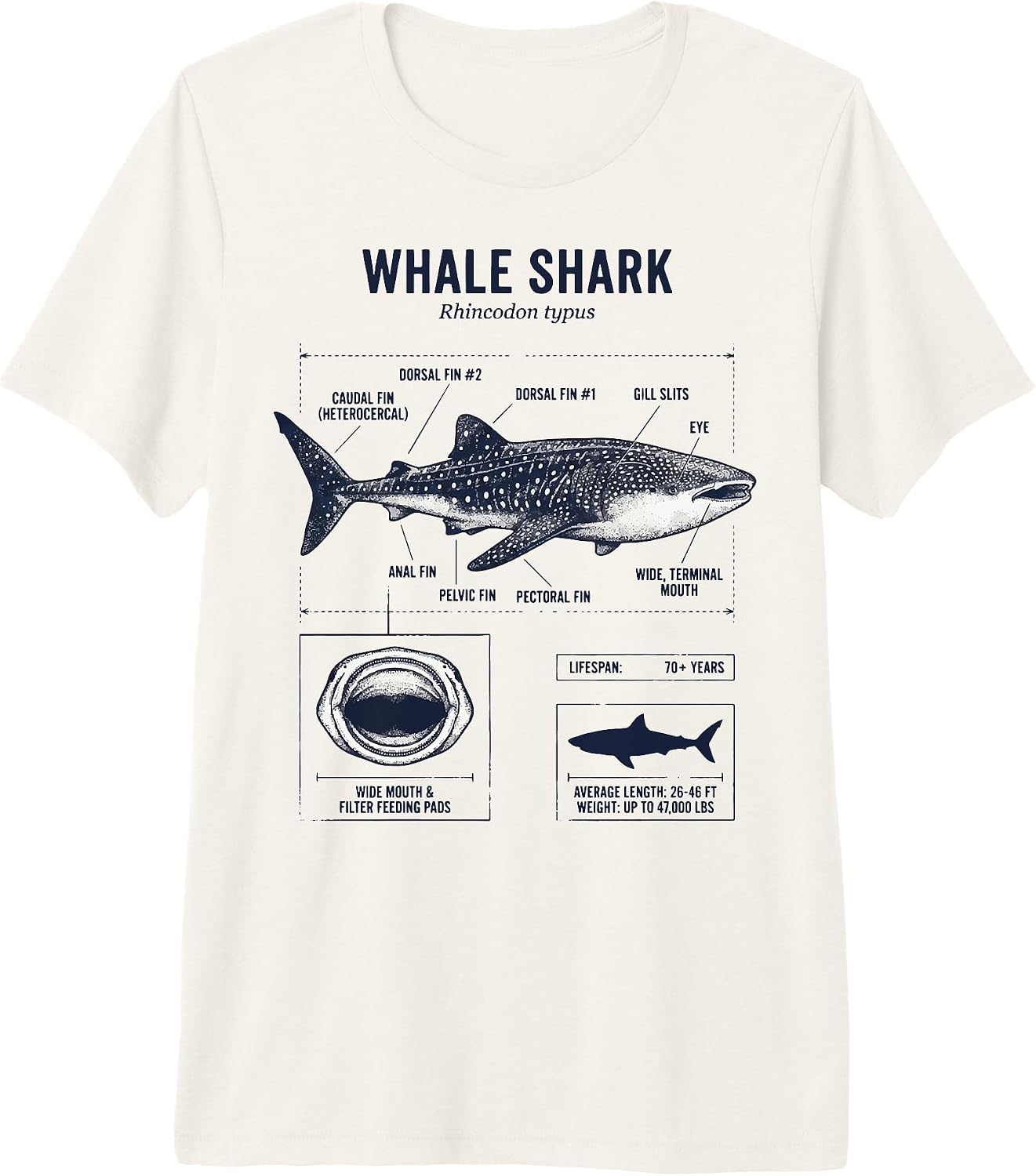 Whale Shark Diving Ocean