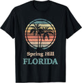 Spring Hill Florida FL Designs