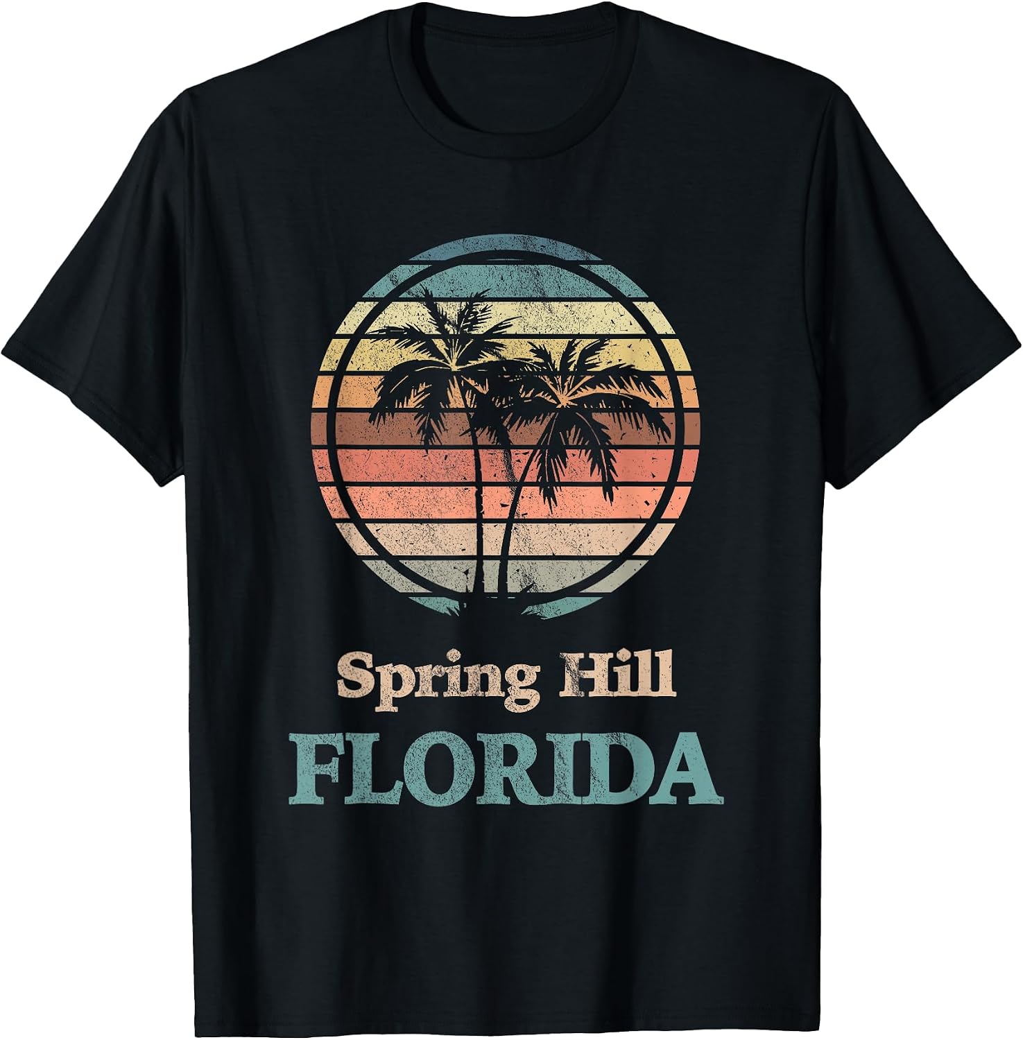 Spring Hill Florida FL Designs